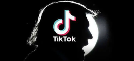 防止绞杀 TikTok狂砸近35亿建欧洲数据中心_IDC国际资讯-