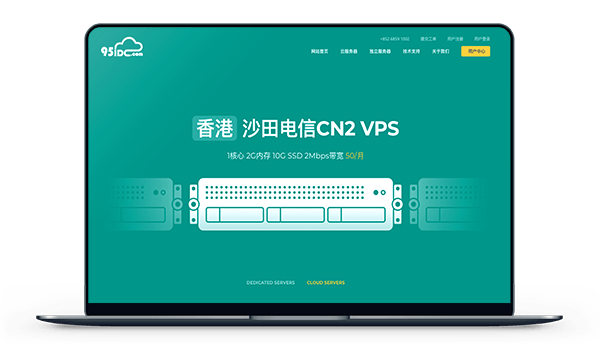 95IDC - 香港沙田 三网回程CN2 带宽2M 月付25元-